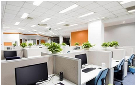 适宜办公室摆放的绿植有哪些？