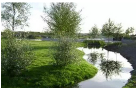 暴雨来袭，海绵城市怎么利用雨水？